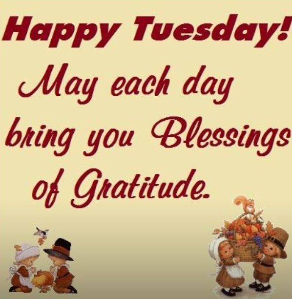 Happy Tuesday