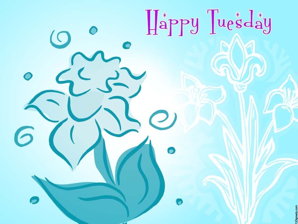 Happy Tuesday