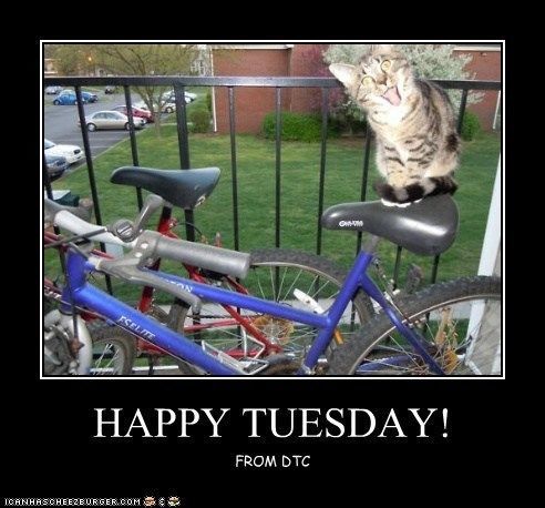 Happy Tuesday