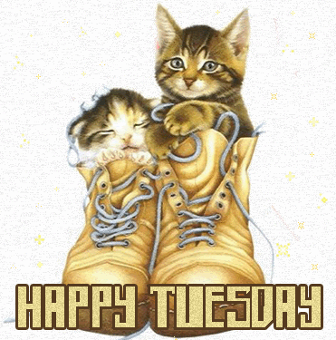 Happy Tuesday Happy Tuesday