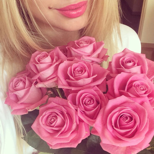 Pink roses Pink roses
