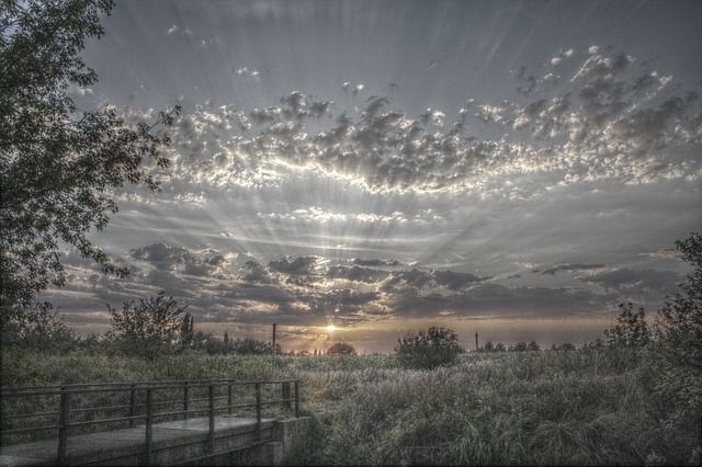 Rays of sunlight