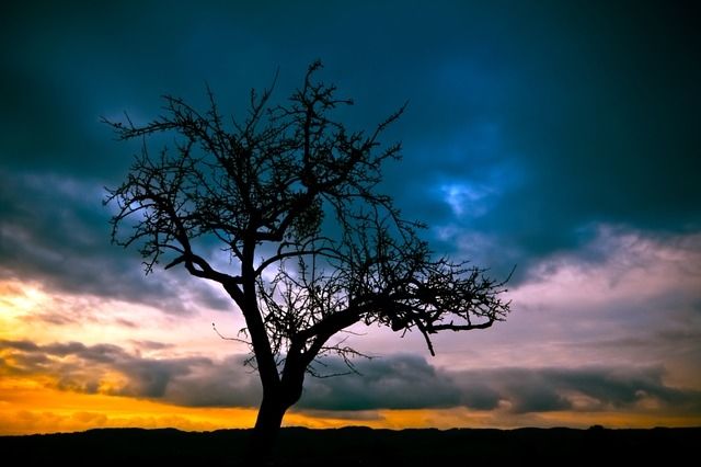 Storm clouds rolling in