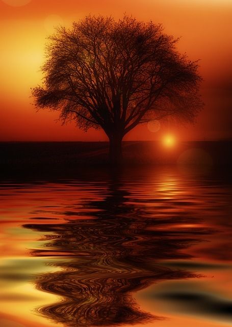 Solitary sunset