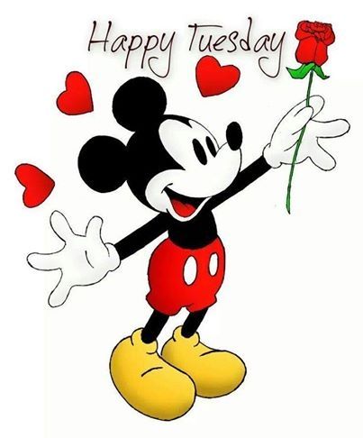 Happy Tuesday