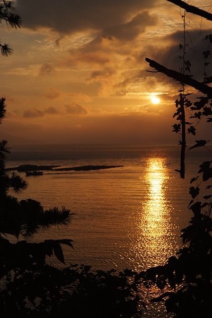 Morning joy