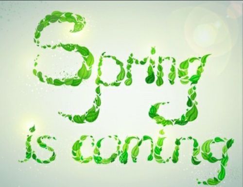 Spring is coming