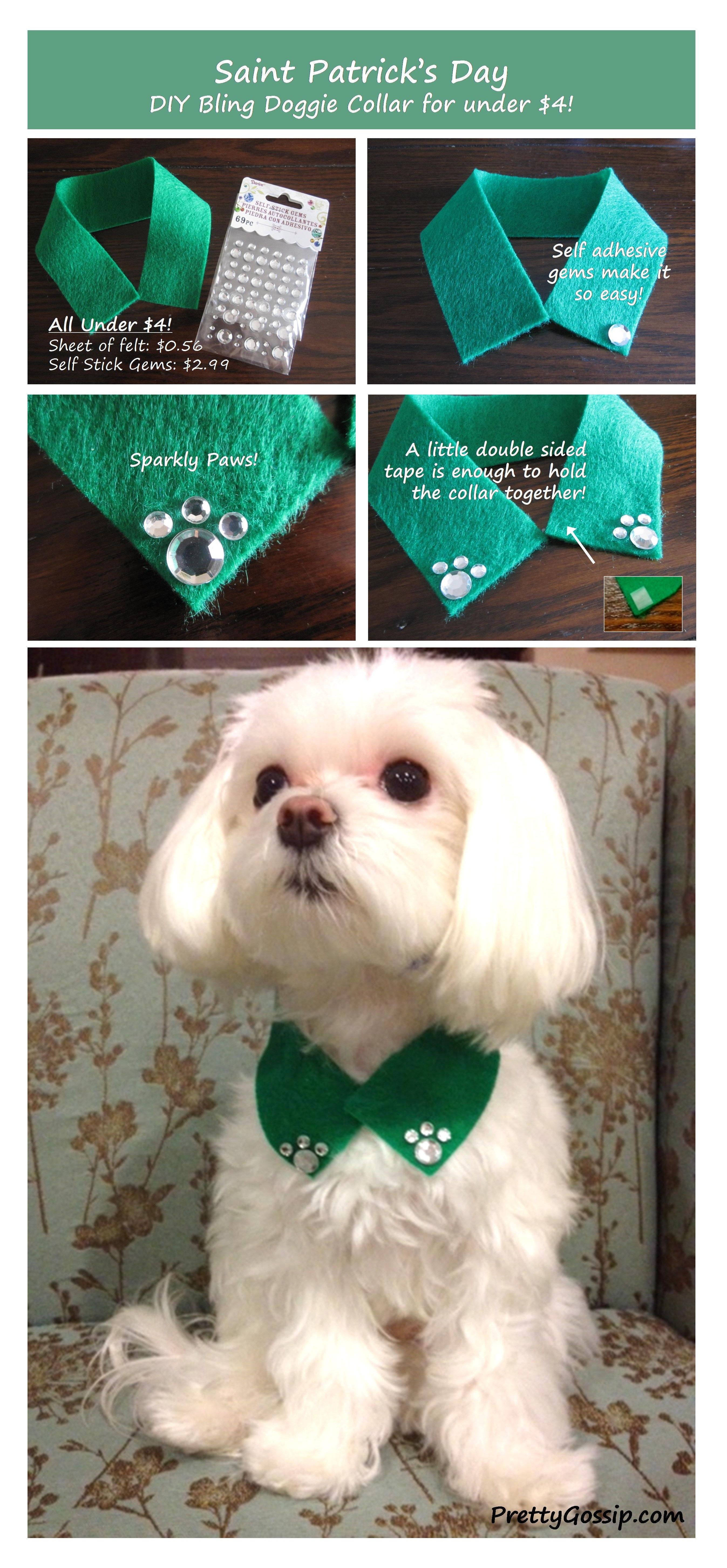 DIY St Patricks Day Bling Doggie Collar DIY St Patricks Day Bling Doggie Collar