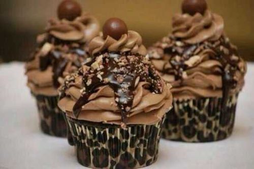 Chocolate cupcakes