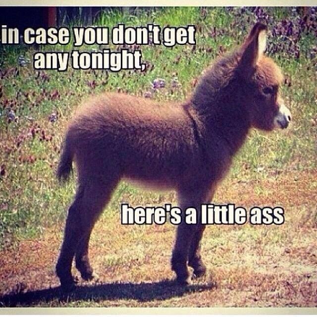 In case you dont get any tonight In case you dont get any tonight