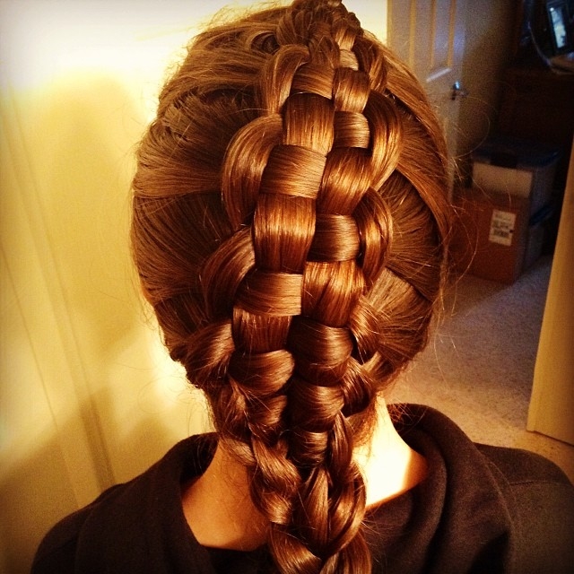 The Zipper Braid The Zipper Braid