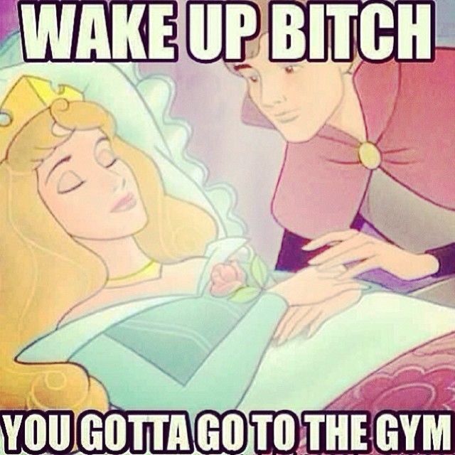 Wake up bitch, you gotta go to the gym