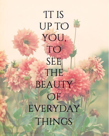 See The Beauty Of Every Day Things
