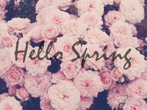 Hello Spring