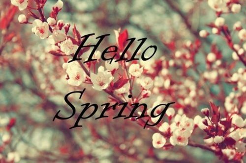 Hello Spring