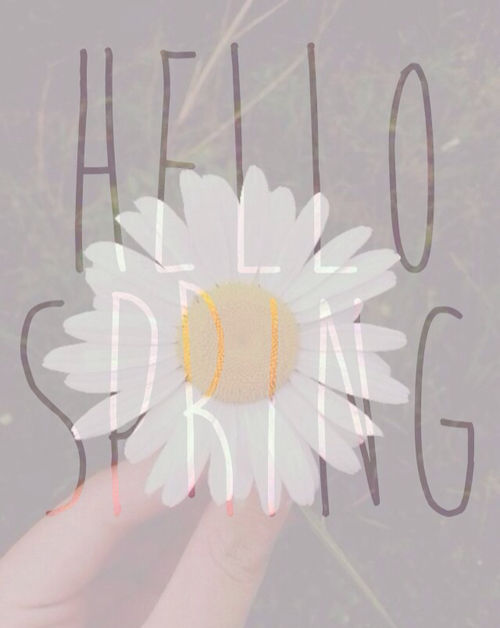 Hello Spring