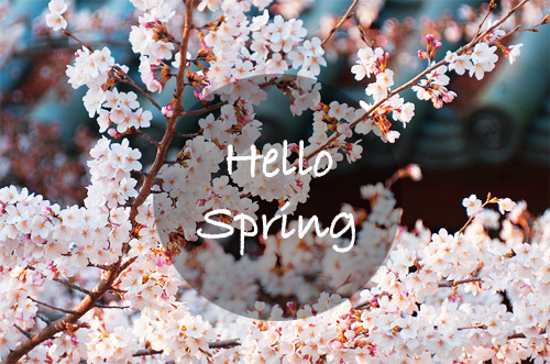 Hello Spring