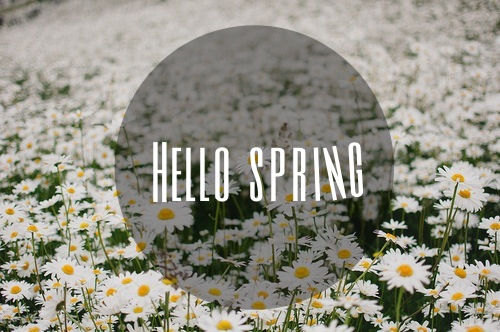 Hello Spring Hello Spring