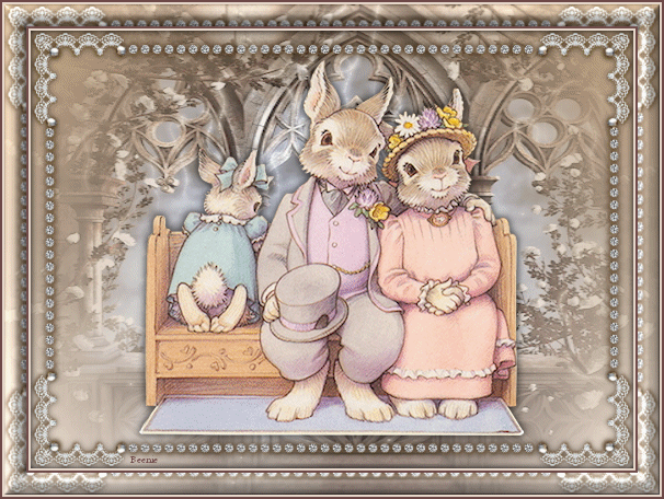 Bunny Family Bunny Family