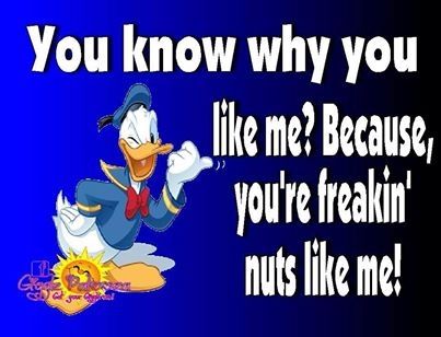 youre nuts like me youre nuts like me
