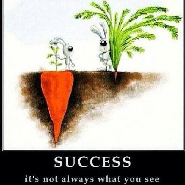 Success is not always what you see