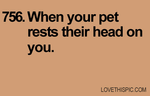 756-pet 756-pet