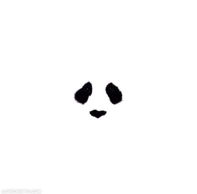 Panda Bear Panda Bear
