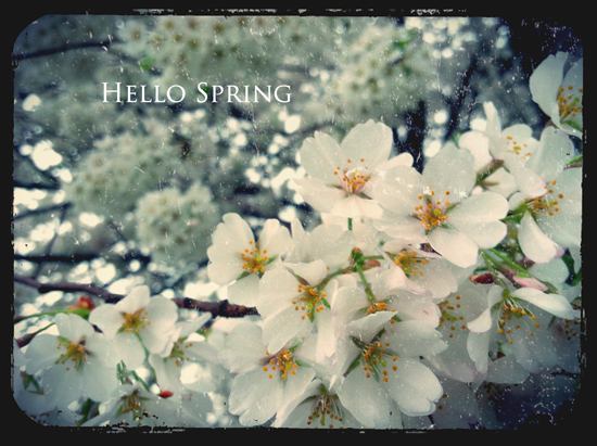Hello Spring