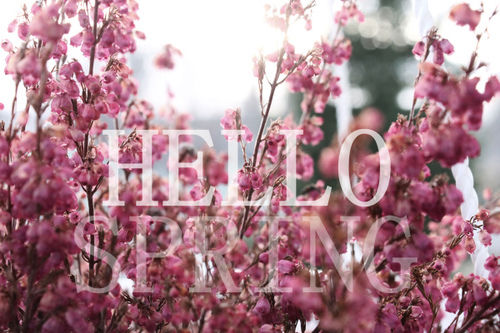 Hello Spring