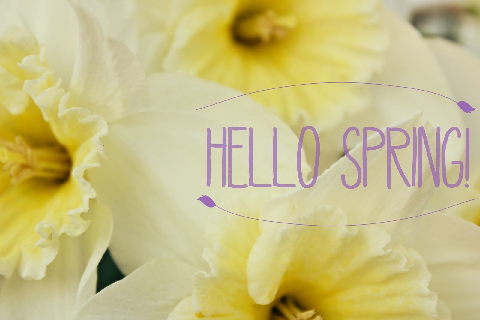 Hello Spring