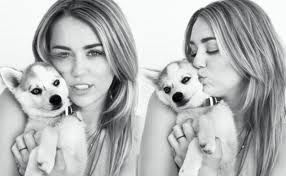 miley cyrus miley cyrus
