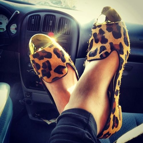 Leopard shoes