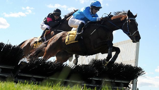 horse racing horse racing