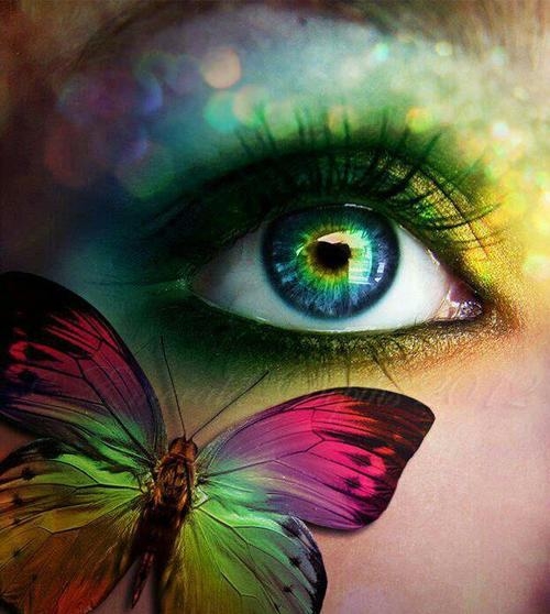 Colorful Eye Colorful Eye