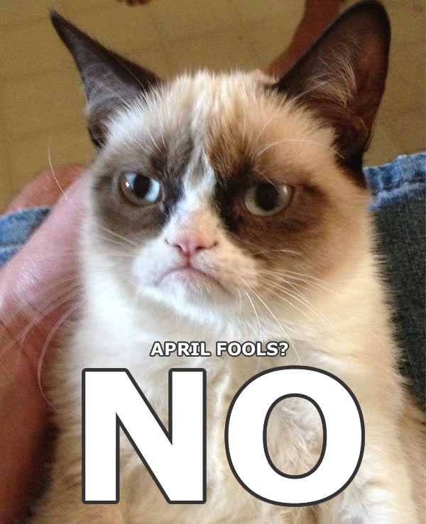 Grumpy cat April fools Grumpy cat April fools