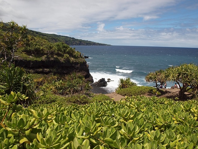Maui beach