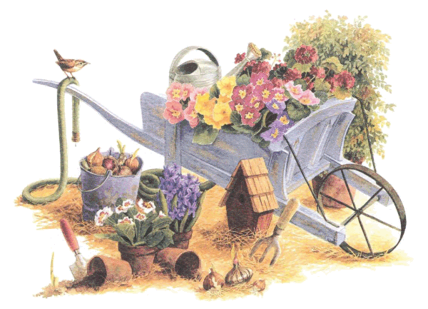 Spring Gardening Spring Gardening