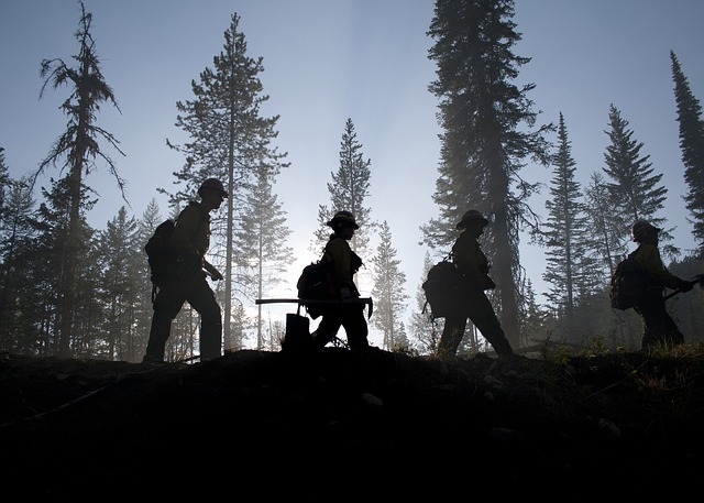 Firemen in the forest