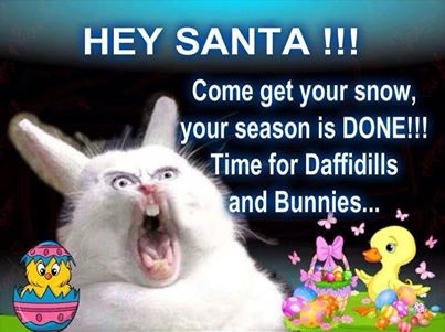 Hey Sanata Hey Sanata
