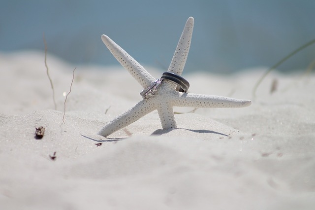 Wedding rings and starfish