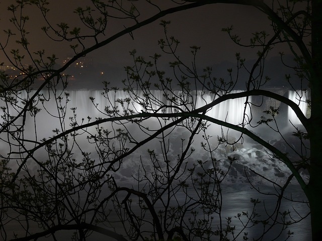 Niagara falls through trees Niagara falls through trees