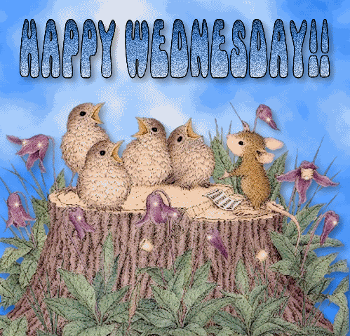 Happy Wednesday