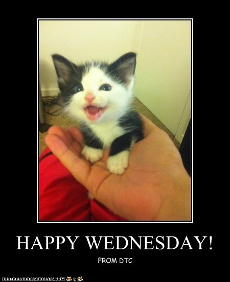 Happy Wednesday