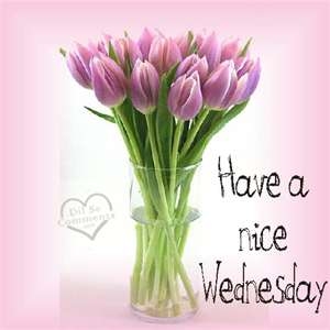 Have a nice wednesday