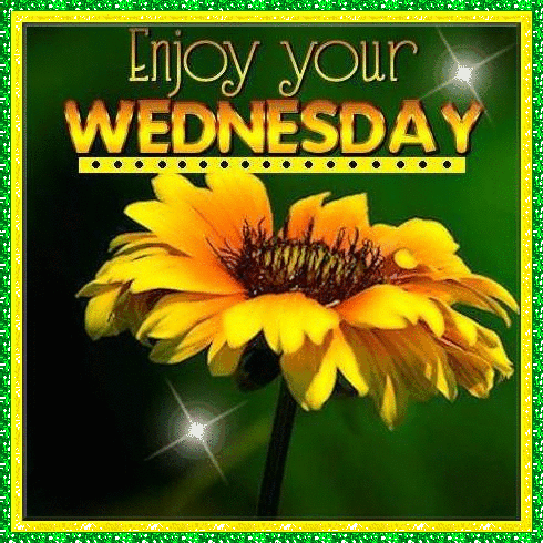 Enjoy your wednesday