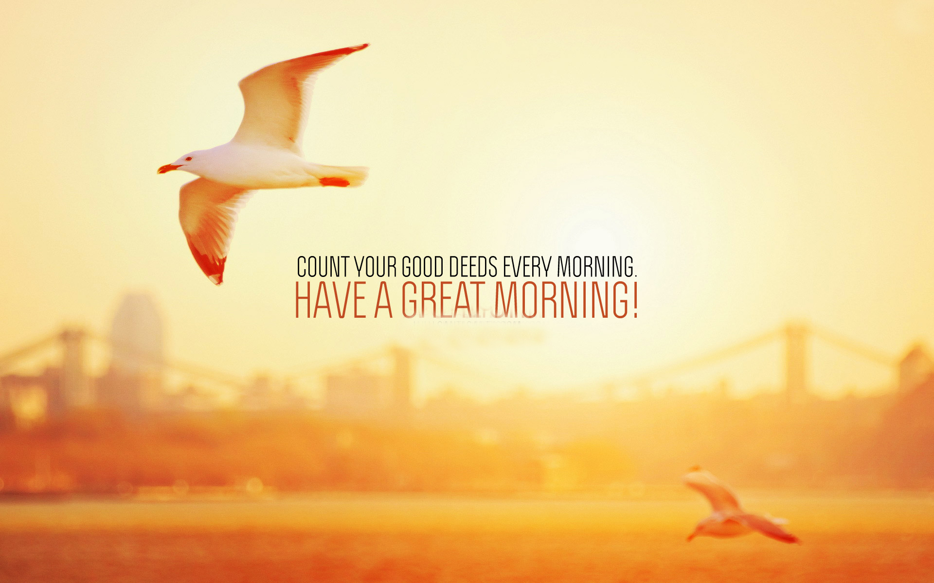 Have a great morning Have a great morning