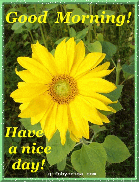 Good morning, have a nice day Good morning, have a nice day