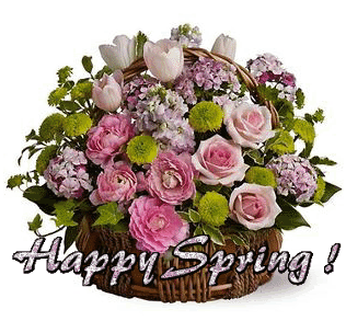 Happy Spring Pink Rose Bouquet Happy Spring Pink Rose Bouquet