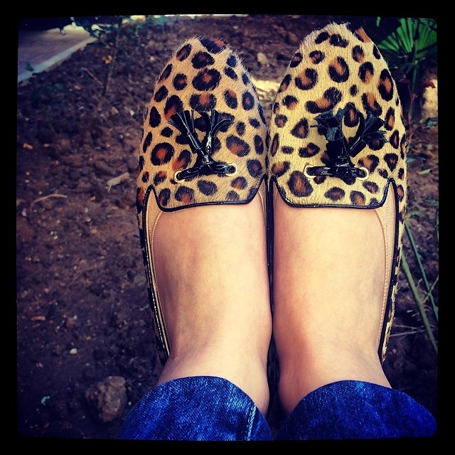 Leopard print flats