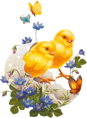 Spring Chicks Spring Chicks